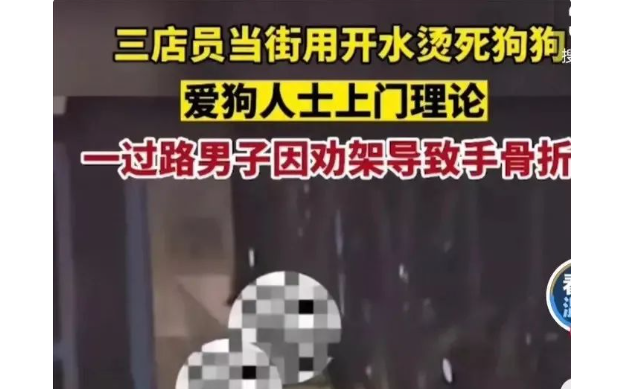 武汉餐馆烫死怀孕母狗后续,更多细节曝光!商家:响应号召而已! 武汉餐馆烫死怀孕母狗后续,更多细节曝光!商家:响应号召而已!
