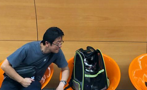 奶牛猫陪着主人环球旅行，主人默默背着猫砂，网友：别人家的猫