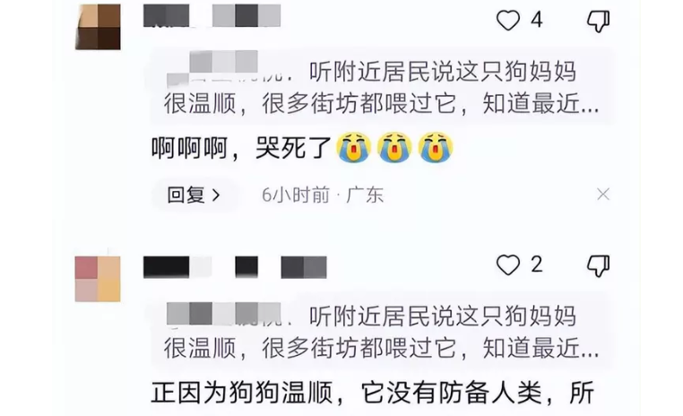 武汉餐馆烫死怀孕母狗后续,更多细节曝光!商家:响应号召而已! 武汉餐馆烫死怀孕母狗后续,更多细节曝光!商家:响应号召而已!