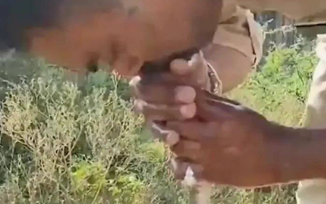 印度一警察为蛇做人工呼吸，救活了500多条蛇，人工呼吸方式对蛇有用么？