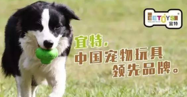 宜特宠物：享受潮流养宠的乐趣！