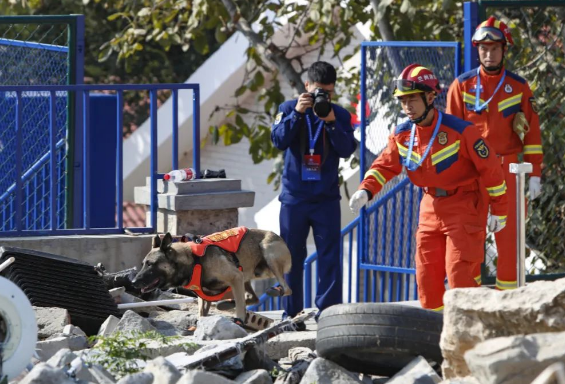 甘肃消防荣获全国消防救援搜救犬技术比武竞赛团体冠军! 甘肃消防荣获全国消防救援搜救犬技术比武竞赛团体冠军!