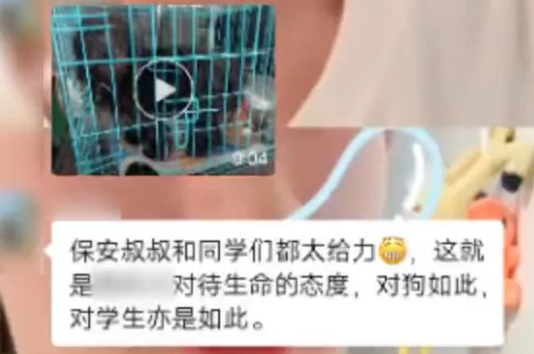 超赞!流浪狗掉进护校河里,师生保安齐心协力放掉河水,成功将狗狗救了出来. 超赞!流浪狗掉进护校河里,师生保安齐心协力放掉河水,成功将狗狗救了出来.