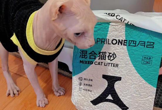 一文带你了解:aprilone猫砂吸水性! 一文带你了解:aprilone猫砂吸水性!