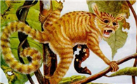 中华古猫现在还存在吗
