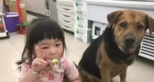 偶遇一只流浪狗，小女孩开心的说：妈妈帮我们拍合照