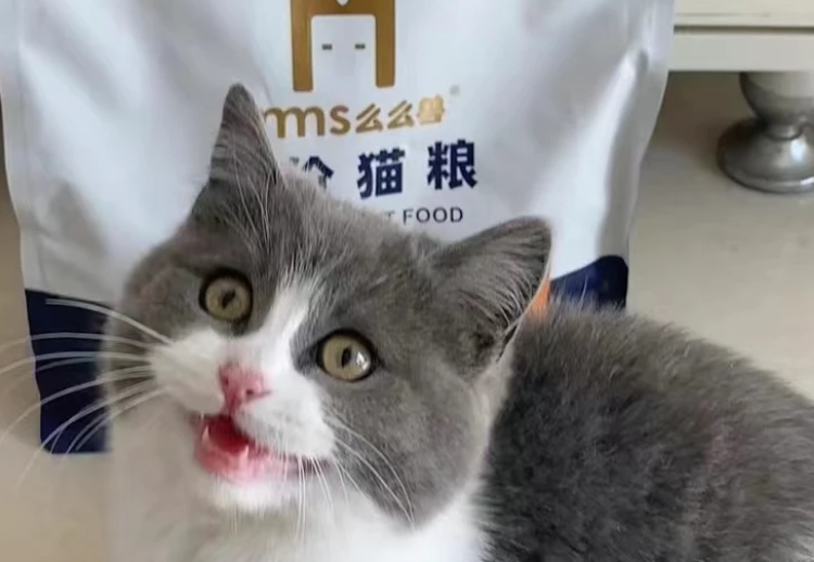 么么兽宠物粮品牌，一文解析