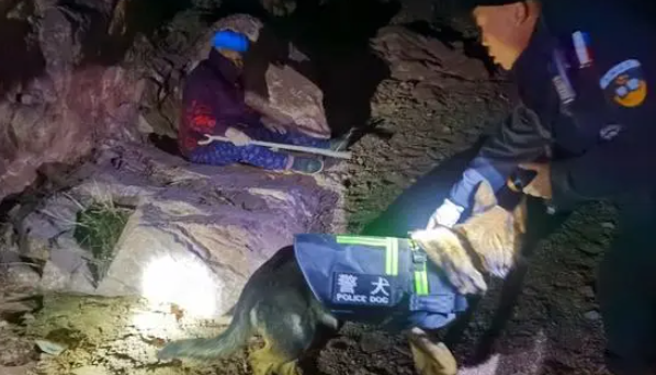警犬搜寻,民警3小时找到失联老人 警犬搜寻,民警3小时找到失联老人