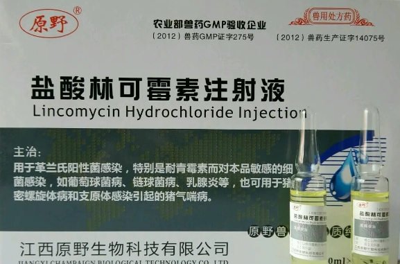 盐酸林可霉素注射兽用治疗什么 盐酸林可霉素注射兽用治疗什么