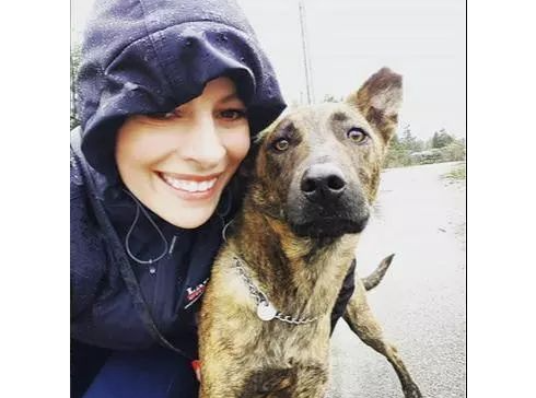 虎斑犬在国内被嫌弃,国外主人却超爱:散步都被夸帅 虎斑犬在国内被嫌弃,国外主人却超爱:散步都被夸帅