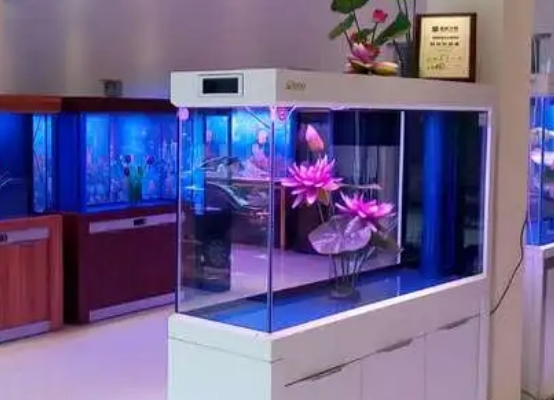 森森鱼缸质量怎么样?来看看吧 森森鱼缸质量怎么样?来看看吧