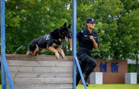 又美又飒!警花与警犬的奋斗青春 又美又飒!警花与警犬的奋斗青春