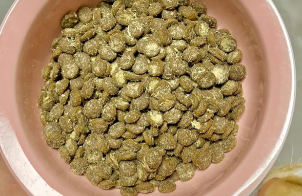 黑鼻头猫粮，专研低敏配方！