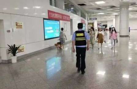 发现女孩带导盲犬坐地铁，警察悄悄跟随守护400多天…