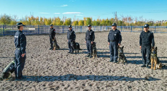 又飒又勇！野外拉练促实战 警犬特警练兵忙