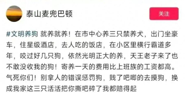 济南男子炫耀养3条烈性犬后续:真实身份遭曝光,已被罚款拘留 济南男子炫耀养3条烈性犬后续:真实身份遭曝光,已被罚款拘留