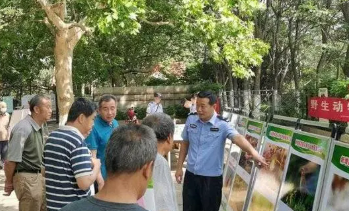 青岛94种鸟类进新版保护名录，买画眉、鹩哥等野生鸟当心违法