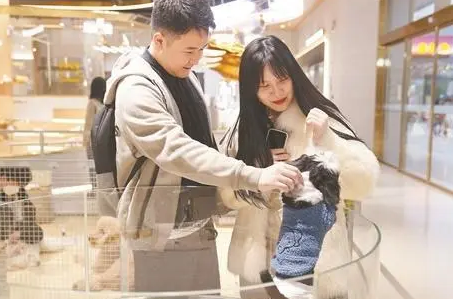 萌宠受宠 强劲“吸金”——业态升级市场扩容,“它经济”长沙升温 萌宠受宠 强劲“吸金”——业态升级市场扩容,“它经济”长沙升温