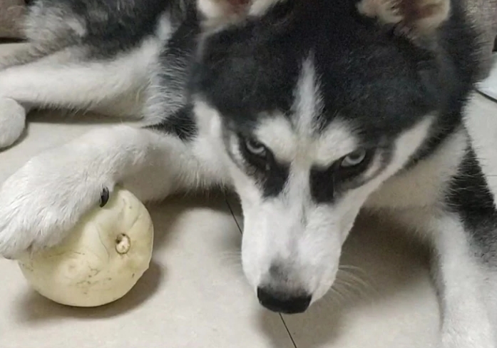 香瓜怎么吃