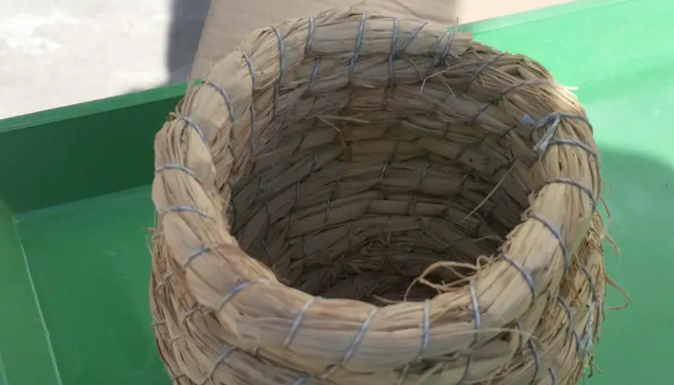 七彩文鸟的窝是什么样的 七彩文鸟的窝是什么样的
