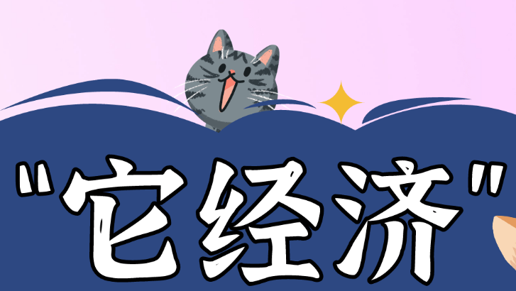 宠物经济崛起 实地探访宿迁“它经济” 宠物经济崛起 实地探访宿迁“它经济”