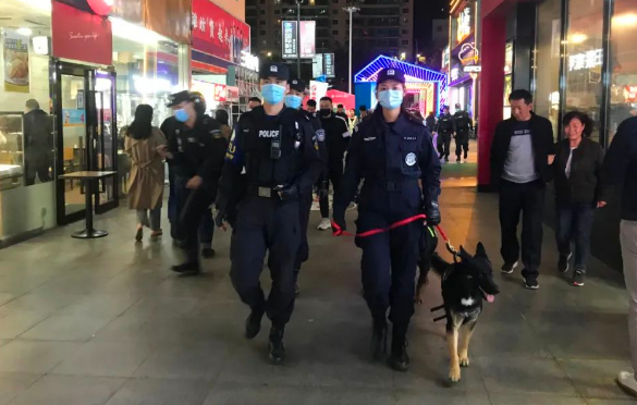 又美又飒!警花与警犬的奋斗青春 又美又飒!警花与警犬的奋斗青春