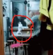 自从家里养了猫,老父亲的娱乐活动就成了跟猫对打!并且乐此不疲