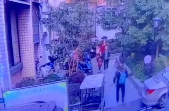 柯基被打死,狗主的话让人痛心!错就错了,这也不能成为报复理由 柯基被打死,狗主的话让人痛心!错就错了,这也不能成为报复理由