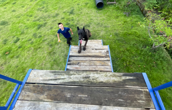 首赛凯旋,他们荣获搜救犬比武单项全国第一 首赛凯旋,他们荣获搜救犬比武单项全国第一