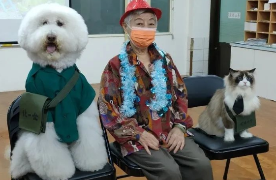 漂亮布偶猫当治疗猫,一动不动陪老人复健,画面暖哭~ 漂亮布偶猫当治疗猫,一动不动陪老人复健,画面暖哭~
