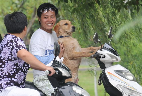 一万以内最好的踏板 一万以内最好的踏板