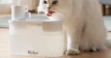 呢酷Neku宠物用品好吗? 呢酷Neku宠物用品好吗?