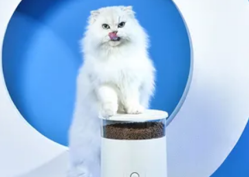 美芙猫咪自动喂食器好不好用？