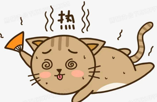 O客营养猫粮 I 猫咪又生病了？免疫力up up up