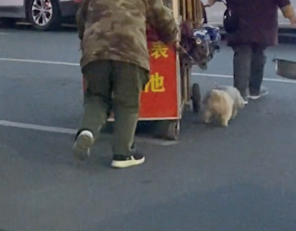 老人收摊要推小车准备回家了,狗狗在旁边使劲帮忙拉,真懂事啊! 老人收摊要推小车准备回家了,狗狗在旁边使劲帮忙拉,真懂事啊!