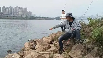 常德沅江边发现鳄鱼？目击者道出详情
