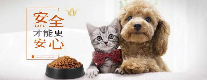 贵赫宠物食品：专业打造，品质之选