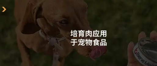 捷克细胞培养宠物食品初创Bene&nbsp;Meat获欧盟审批
