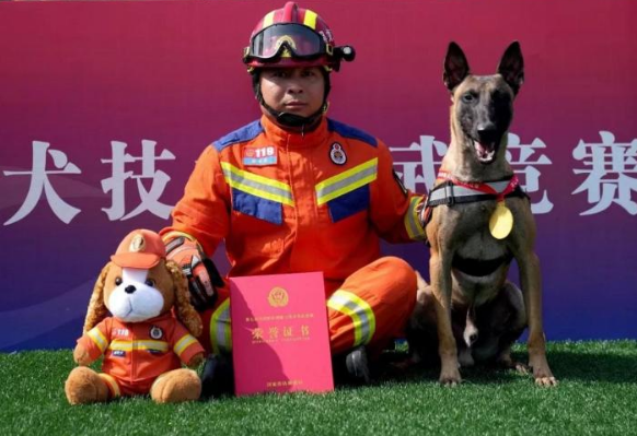 2分钟找到5个人! 黑龙江一搜救犬获箱体搜救科目全国冠军 2分钟找到5个人! 黑龙江一搜救犬获箱体搜救科目全国冠军