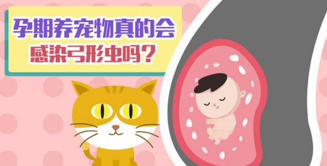 孕期一共查几次弓形虫