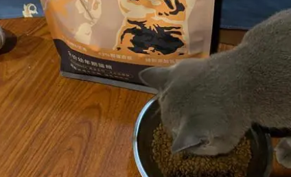 鲜生纪猫粮不可以在闲鱼卖 鲜生纪猫粮不可以在闲鱼卖
