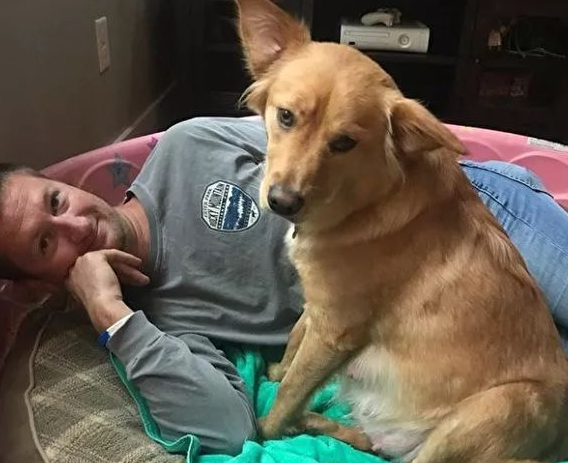 黄金猎犬生下奇异后代 一窝“奶牛”让新主人惊呆 黄金猎犬生下奇异后代 一窝“奶牛”让新主人惊呆