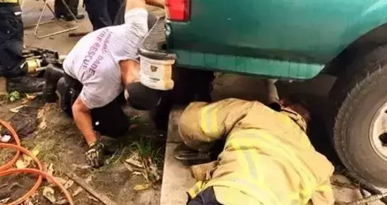 为追耗子被货车卡住,还真是好奇心“害死”狗啊! 为追耗子被货车卡住,还真是好奇心“害死”狗啊!