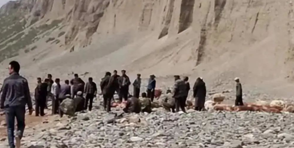 头羊慌不择路，一跃跳下60多米山崖，90多只山羊跟着一只只往下跳