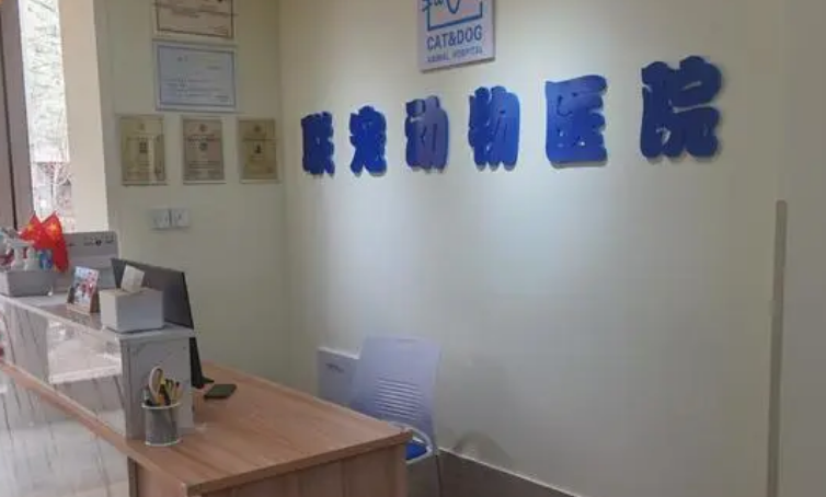 联宠宠物医院的特色是什么?一起了解一下 联宠宠物医院的特色是什么?一起了解一下