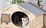 住在养过猫的房子有危害吗