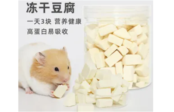 自制仓鼠冻干豆腐
