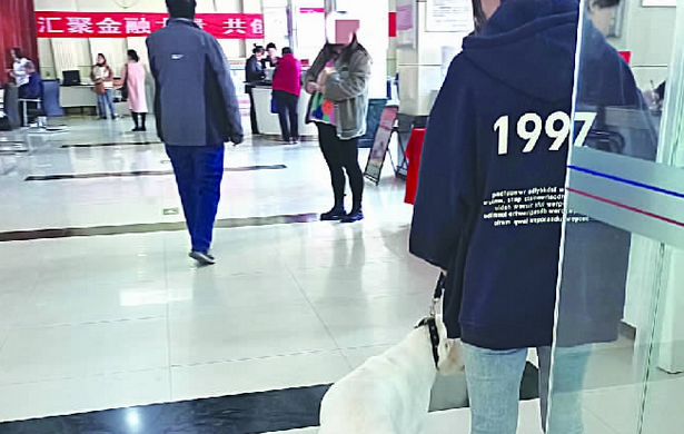 养犬守规矩 文明不掉队：携犬出入公共场所，不该