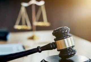 宠物狗未拴绳被撞死,主人索赔万元精神损害被法院驳回 宠物狗未拴绳被撞死,主人索赔万元精神损害被法院驳回