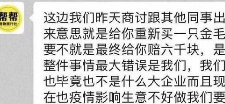 “金毛Siri”去世原因曝光,陈乔恩、徐冬冬发声,托运方态度嚣张 “金毛Siri”去世原因曝光,陈乔恩、徐冬冬发声,托运方态度嚣张